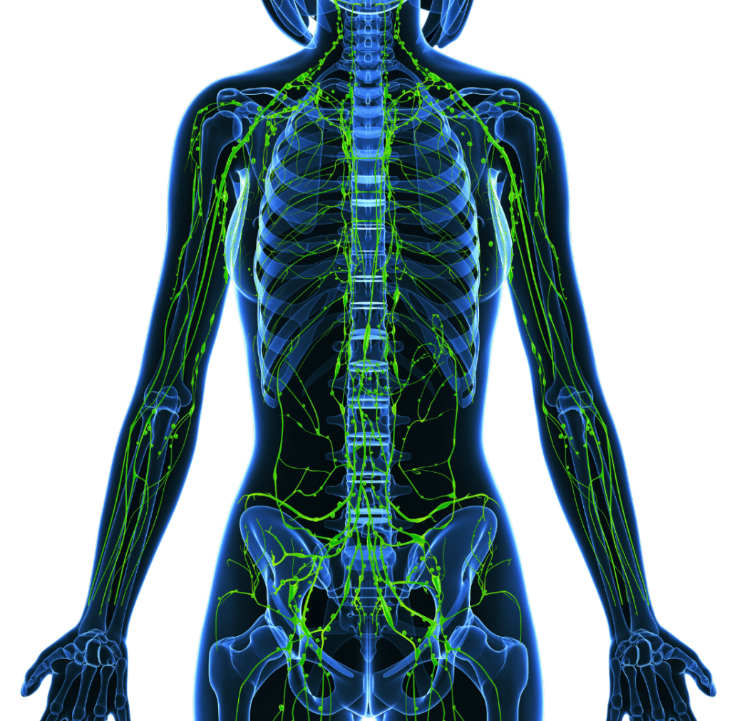 WellBe Clinic lymph drainage